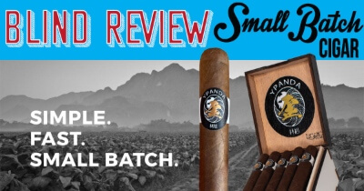 Y Panda Review (BLIND)